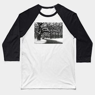 Winding Path Baseball T-Shirt